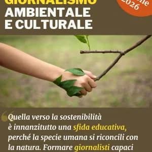 Poetry Village 2026 — seção de poesia lusófona