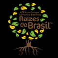Associazione Comunità Brasiliana Raízes do Brasil FVG